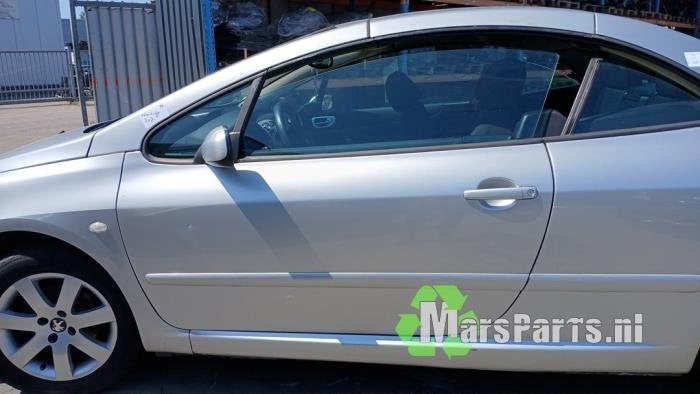 Portier 2Deurs links van een Peugeot 307