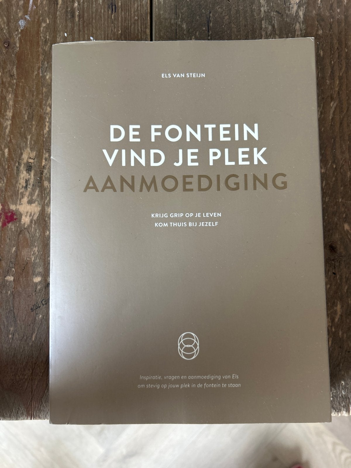 De Fontein Vind Je Plek - Els van Steijn, Boeken, Ophalen of Verzenden, Zo goed als nieuw