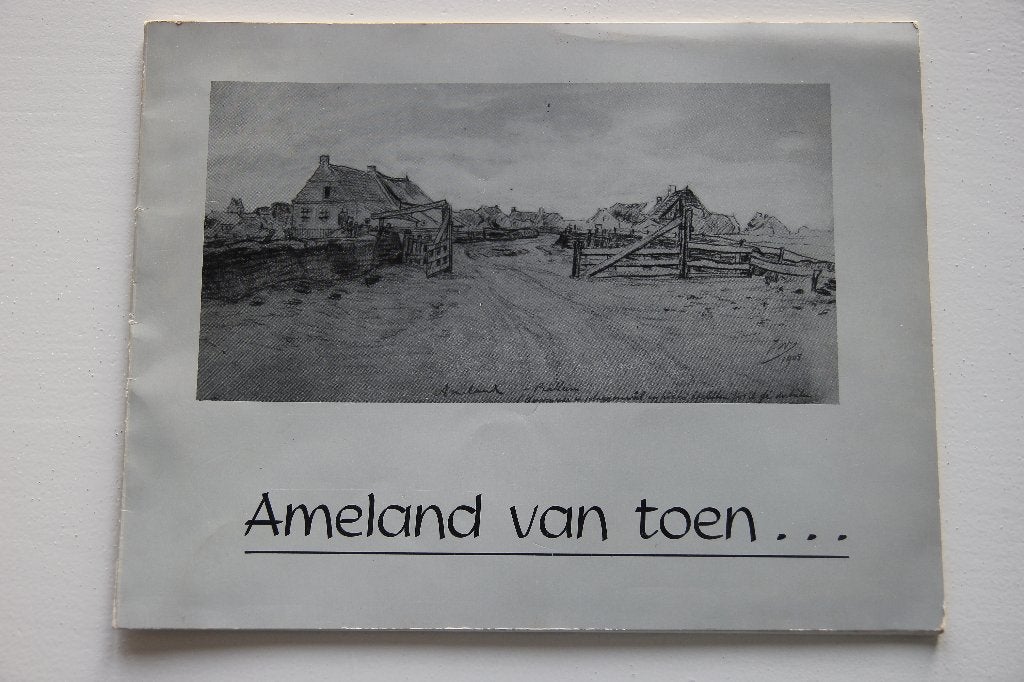 Ameland van toen, Ophalen of Verzenden, Gelezen