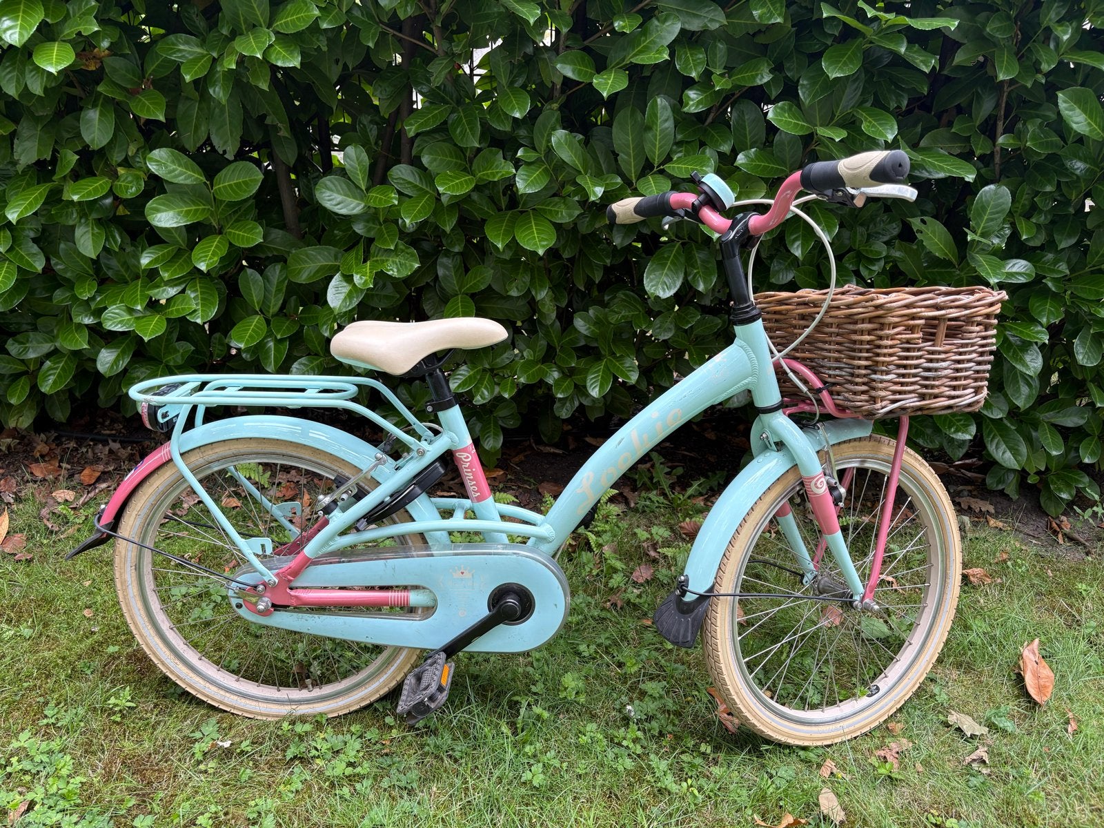 Loekie Prinses meisjesfiets 20 inch met mandje, Fietsen en Brommers, Fietsen | Meisjes, Ophalen, Terugtraprem, Gebruikt, Handrem