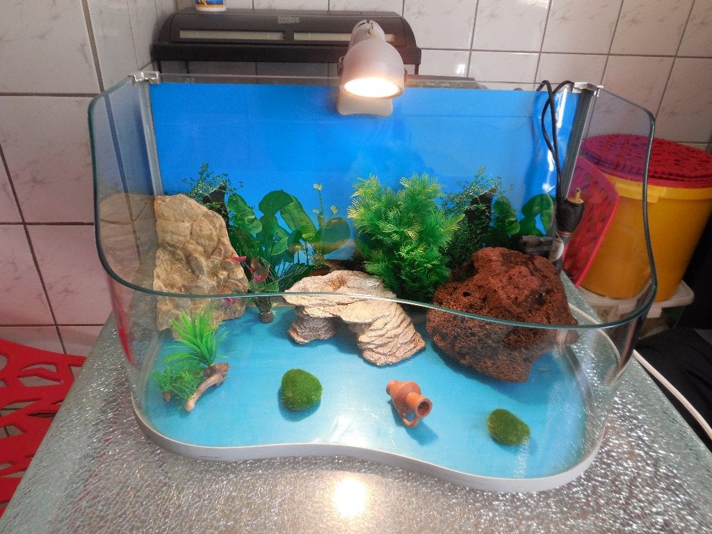 mooi compleet design aquarium voor schildpadden/vissen ect, Ophalen, Verwarming, Gebruikt, Leeg aquarium