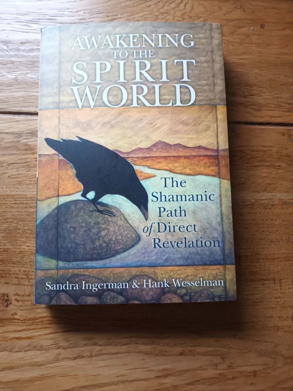 Ingermann - Wesselman	Awakening To The Spirit World, Ophalen of Verzenden, Zo goed als nieuw, Overige onderwerpen, Achtergrond en Informatie