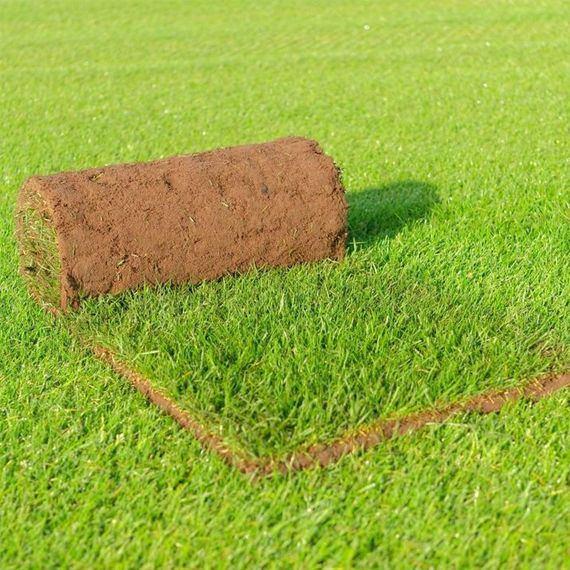 Graszoden, Tuin en Terras, Ophalen, Nieuw, 20 m² of meer, Gras