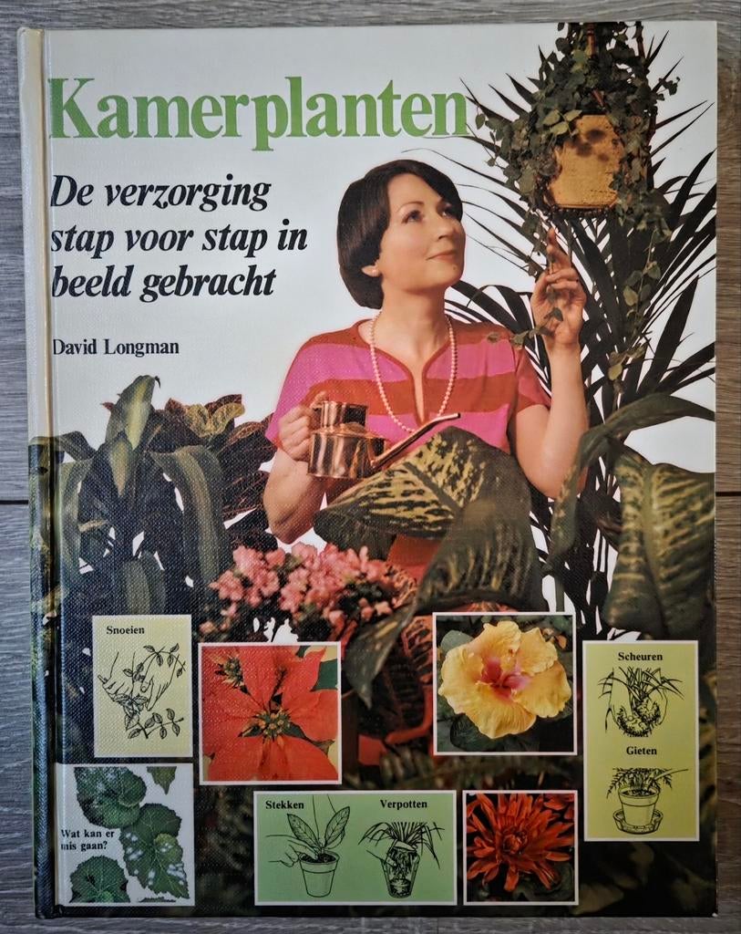 David Longman - Kamerplanten, David Longman, Ophalen of Verzenden, Zo goed als nieuw, Kamerplanten