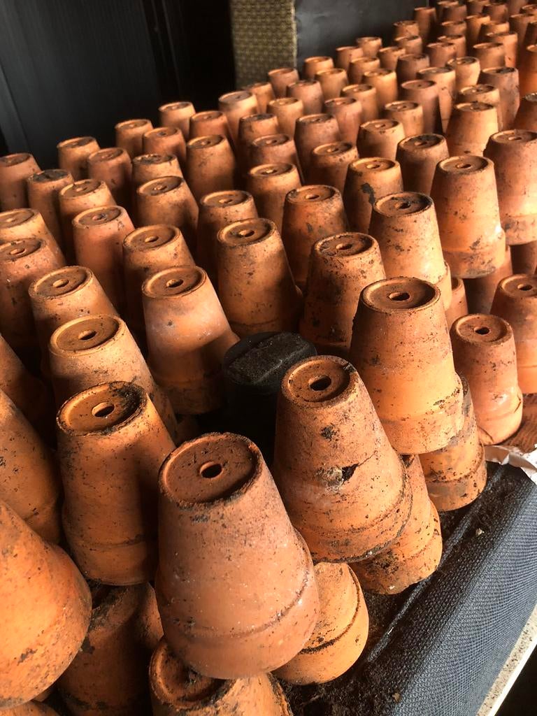 Terra cotta potjes, Ophalen