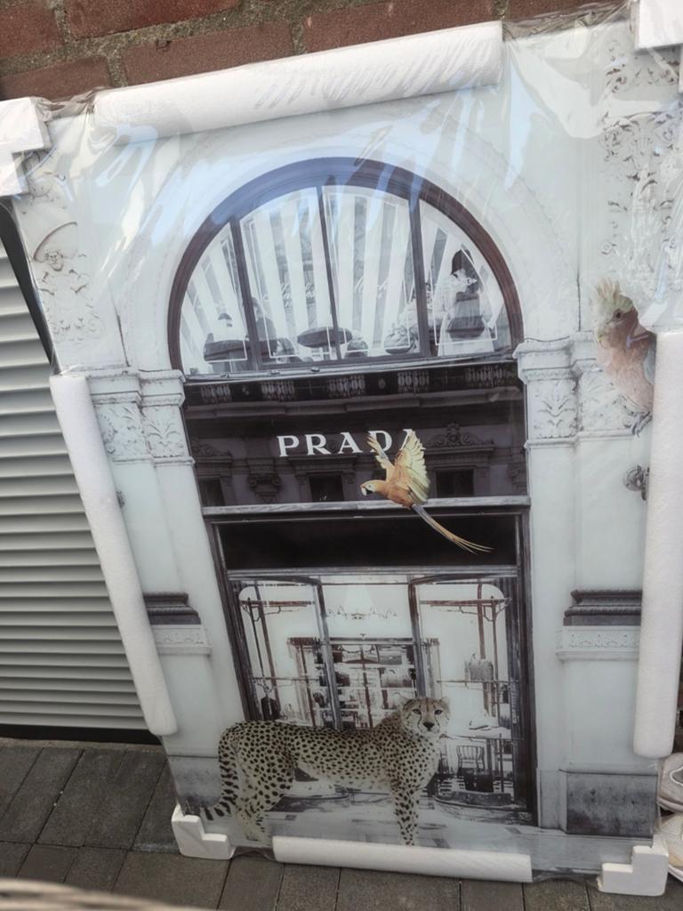 Prada Cheetah Papegaai Wanddecoratie, Ophalen of Verzenden
