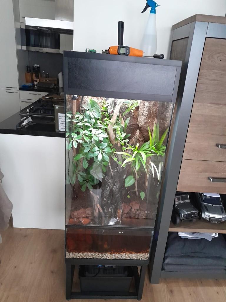 Terrarium (paludarium) 50x50x100cm met onderstel, Dieren en Toebehoren, Reptielen en Amfibieën | Toebehoren, Ophalen, Gebruikt
