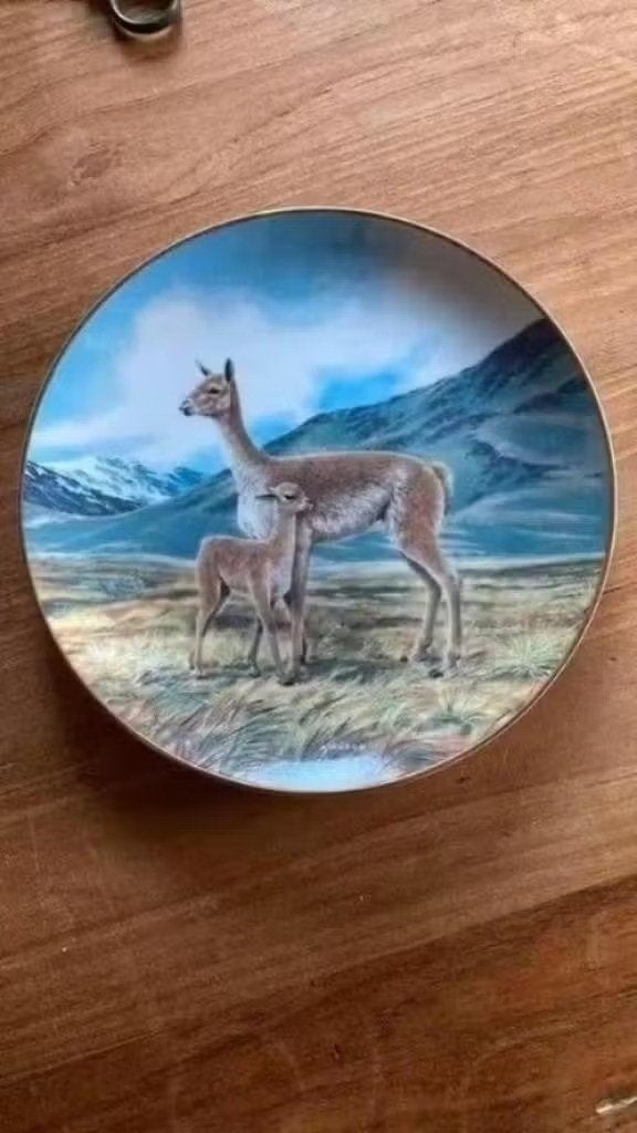 Wandbord : Will Nelson - lama : serie bedreigde diersoorten, Ophalen of Verzenden