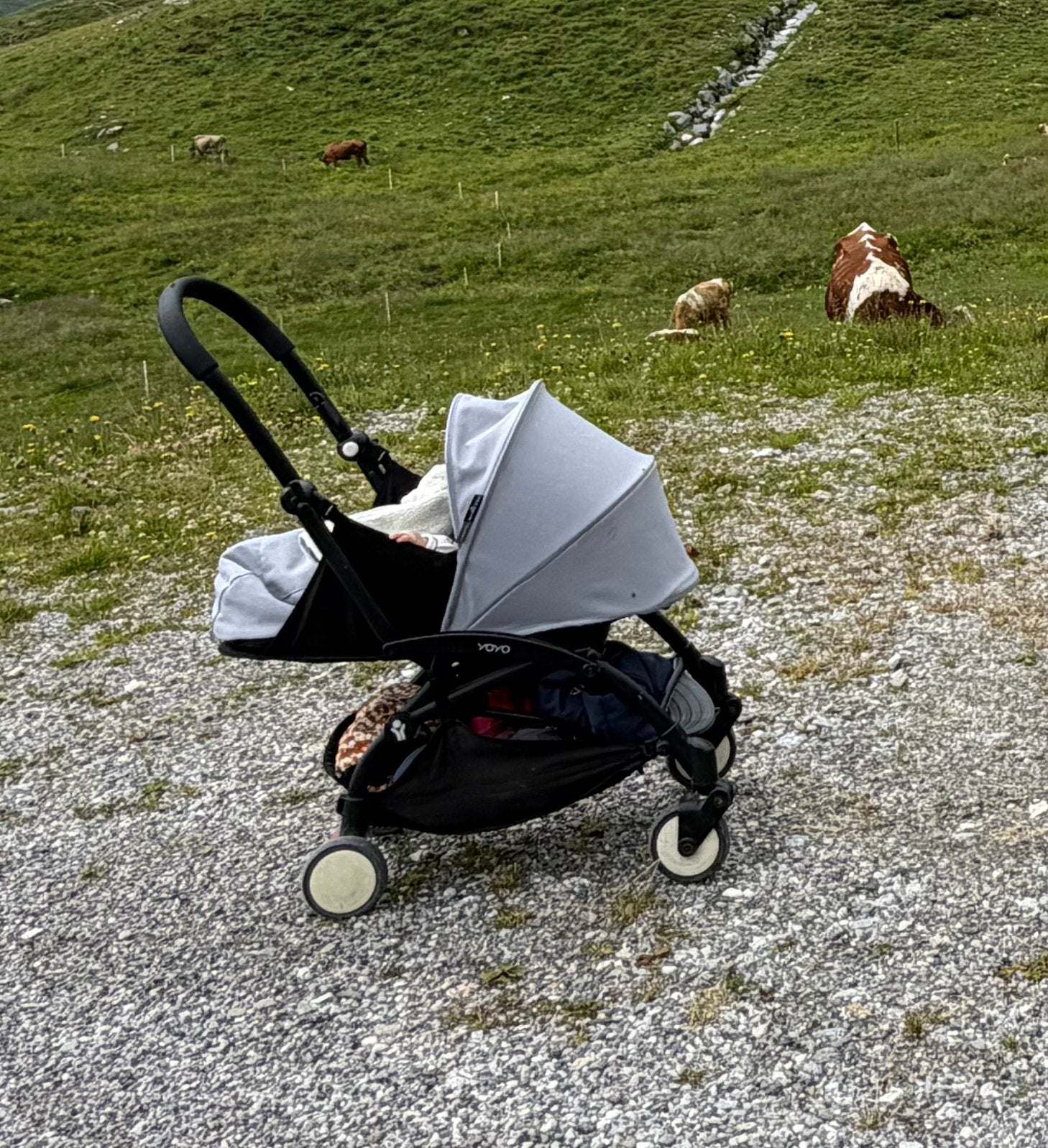 Yoyo Babyzen 0+ Newborn Pack, Ophalen, Zo goed als nieuw, Kinderwagen, Overige merken