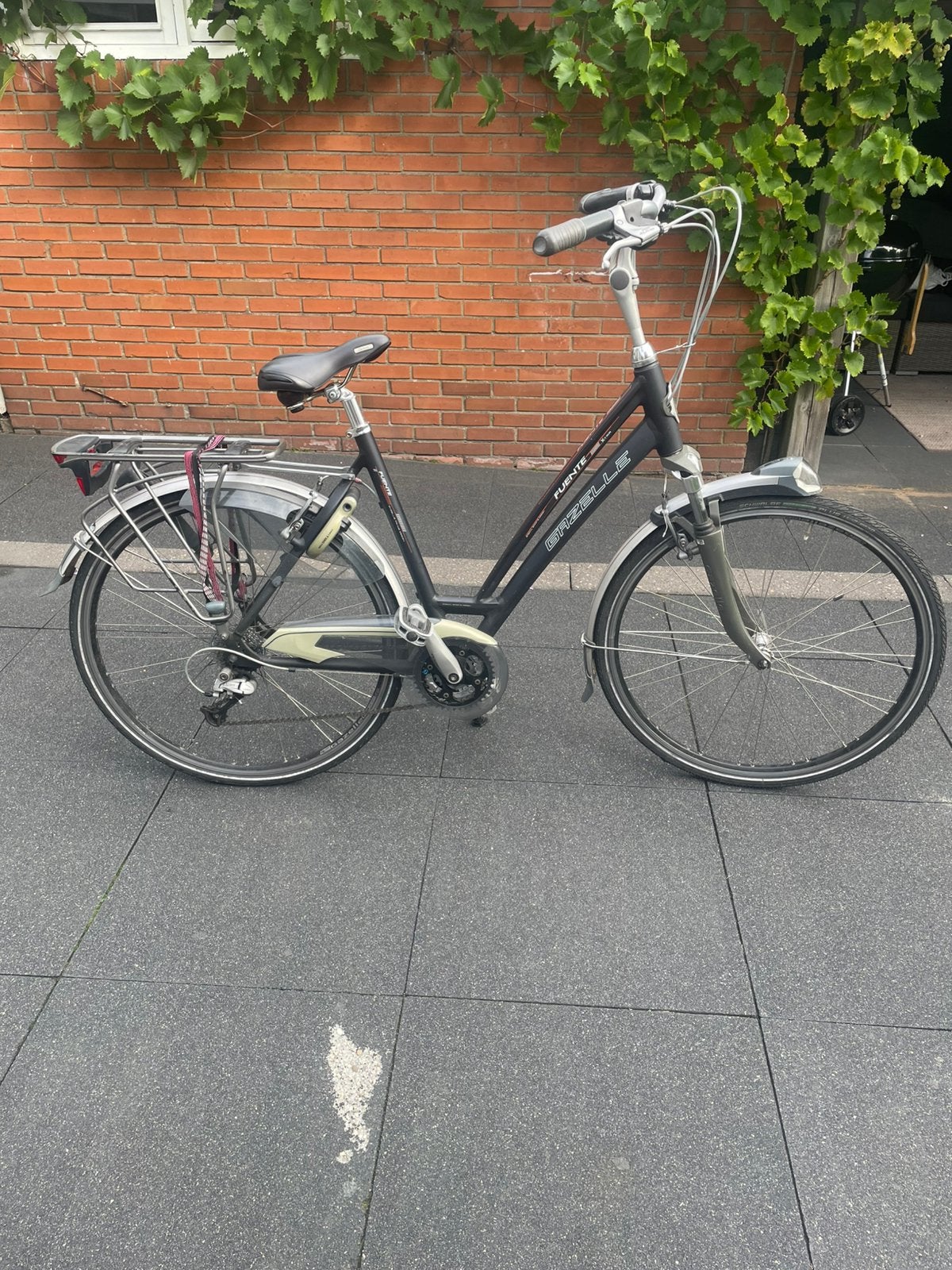 Gazelle Fuente Xtra Damesfiets, Ophalen, Velgrem, Versnellingen, Gazelle