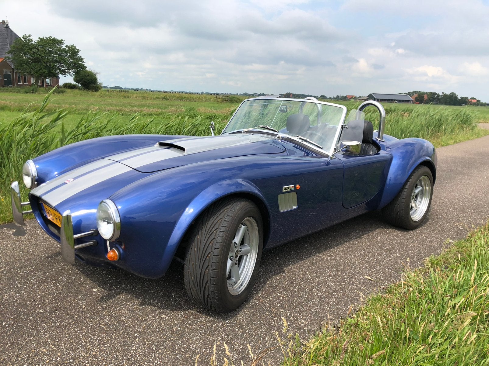 Cobra Shelby Pilgrim-sumo  V8, Metallic lak, Achterwielaandrijving, 5000 cc, Zwart