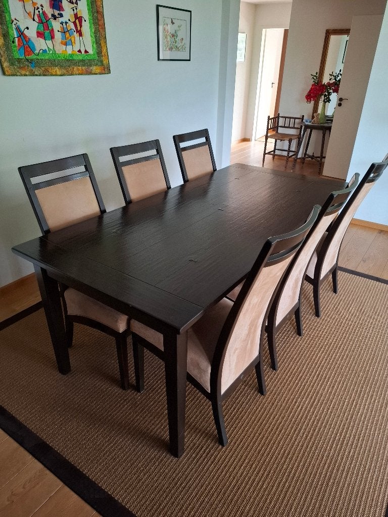 Eetkamertafel+stoelen