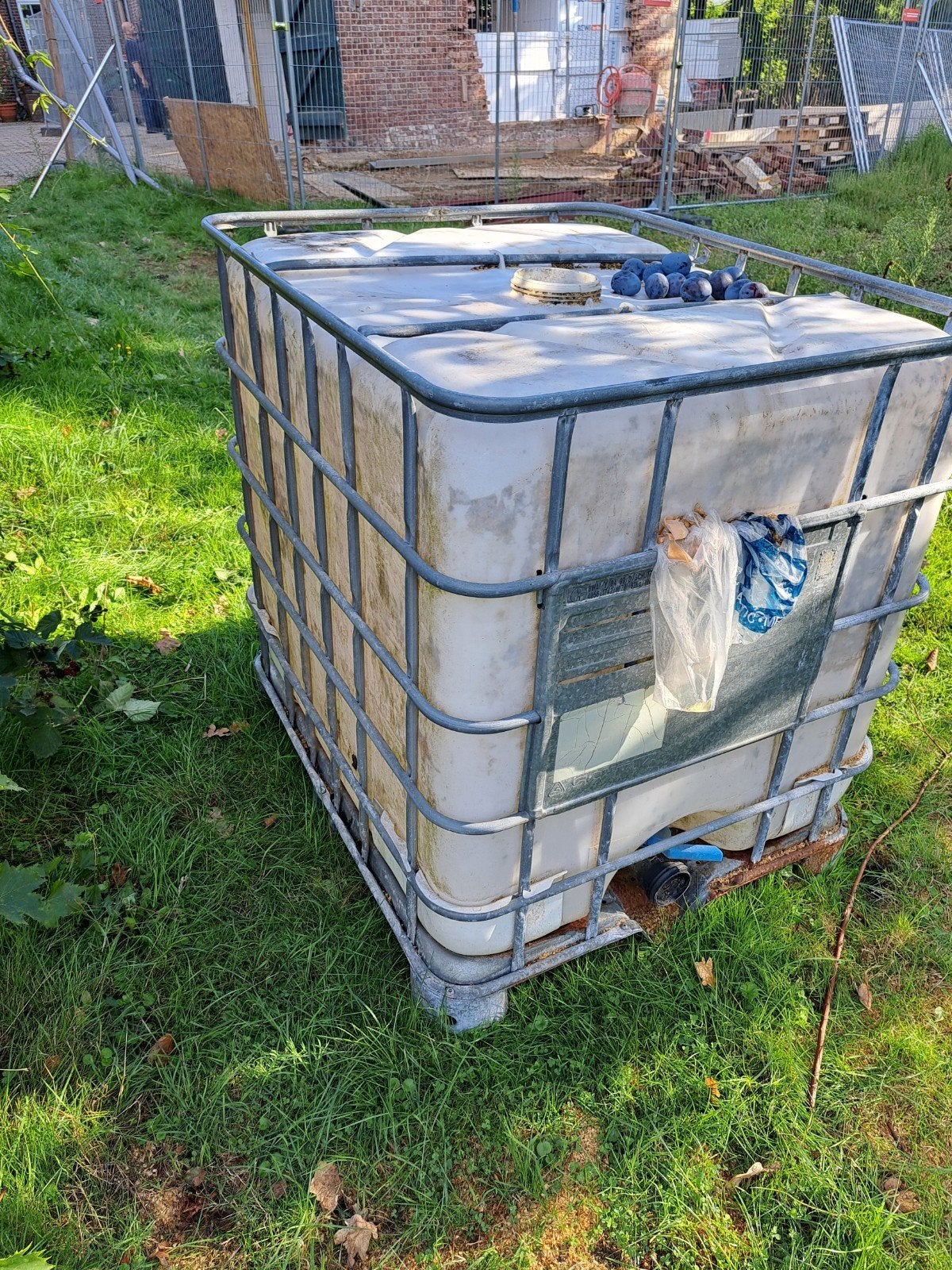 IBC container 1000 liter, Ophalen, Kunststof, Gebruikt, Met kraantje