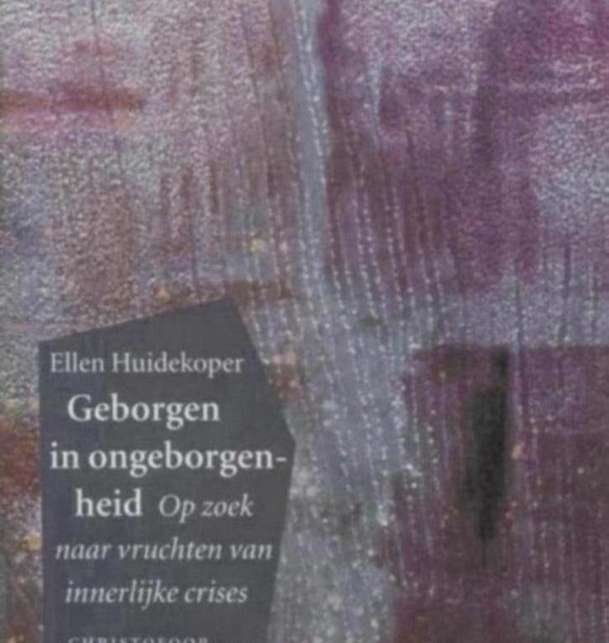 Geborgen in ongeborgenheid, Boeken, Ophalen of Verzenden, Zo goed als nieuw