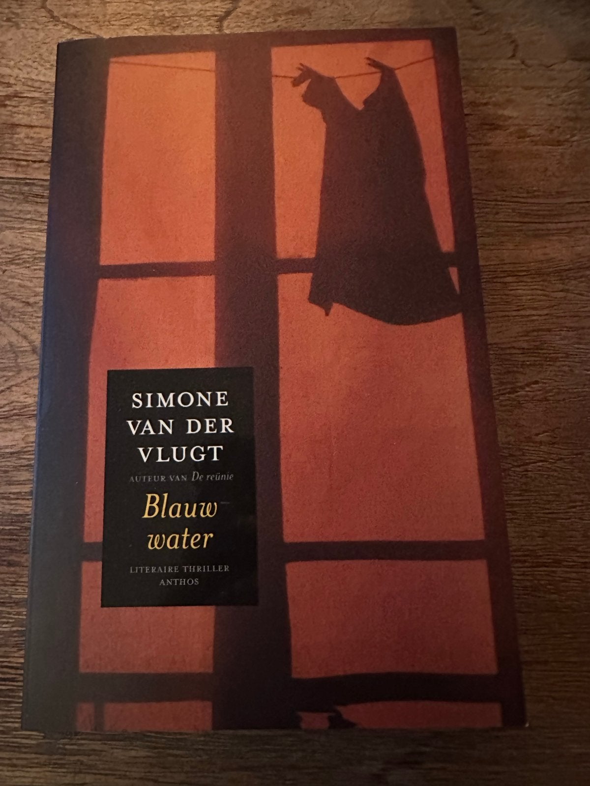 Blauw Water - Simone van der Vlugt (Literaire Thriller), Ophalen of Verzenden, Gelezen, Nederland