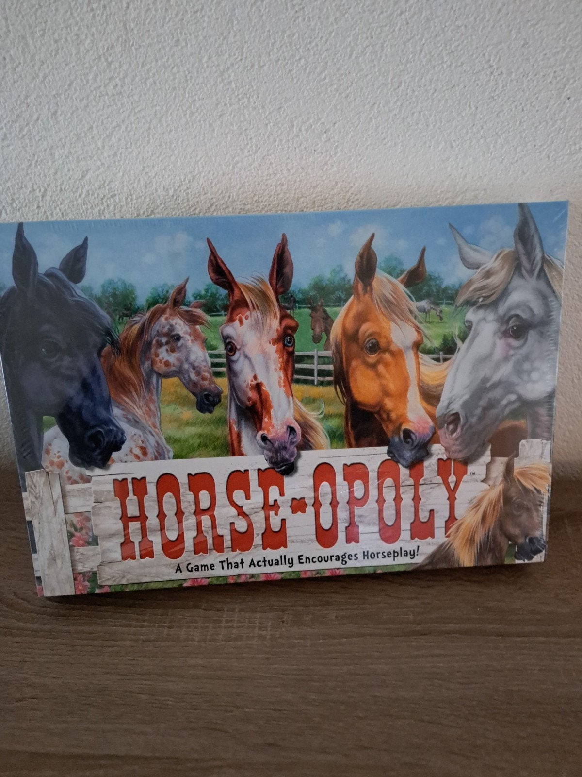 Horse-Opoly Bordspel - Leuk voor paardenliefhebbers!, Drie of vier spelers, Ophalen of Verzenden, Nieuw, Late for the Sky
