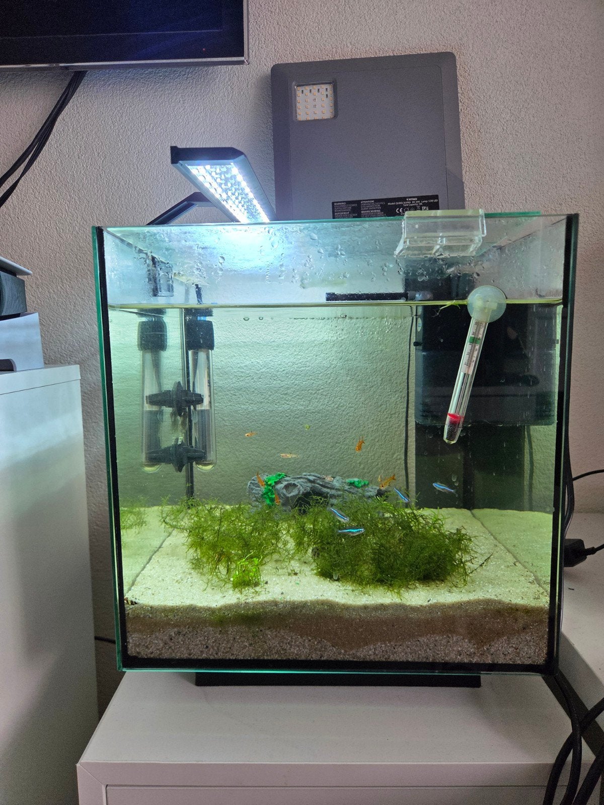 Quibic 30 l. Vaste bedrag 30 euro., Vis
