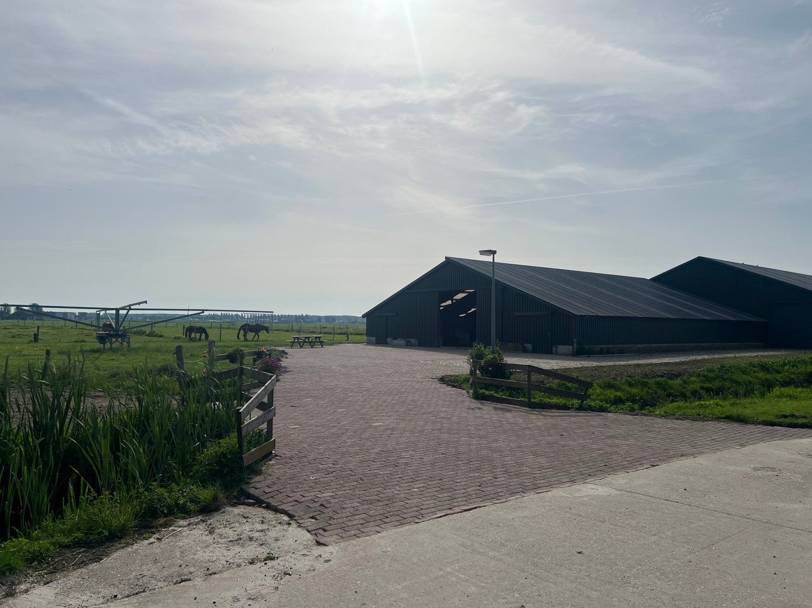 Stalling en weidegang