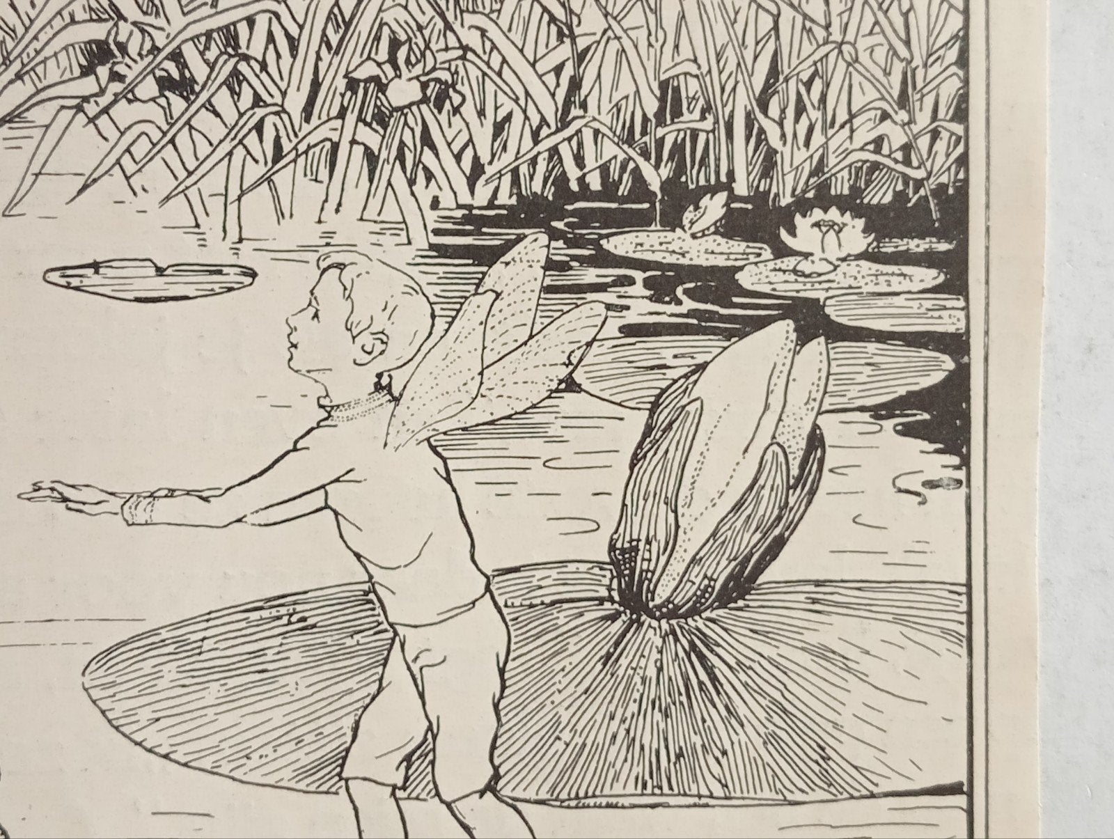 Ella Nieuwenhuis grafische prent jaren 1910-30 Art Nouveau, Ophalen of Verzenden