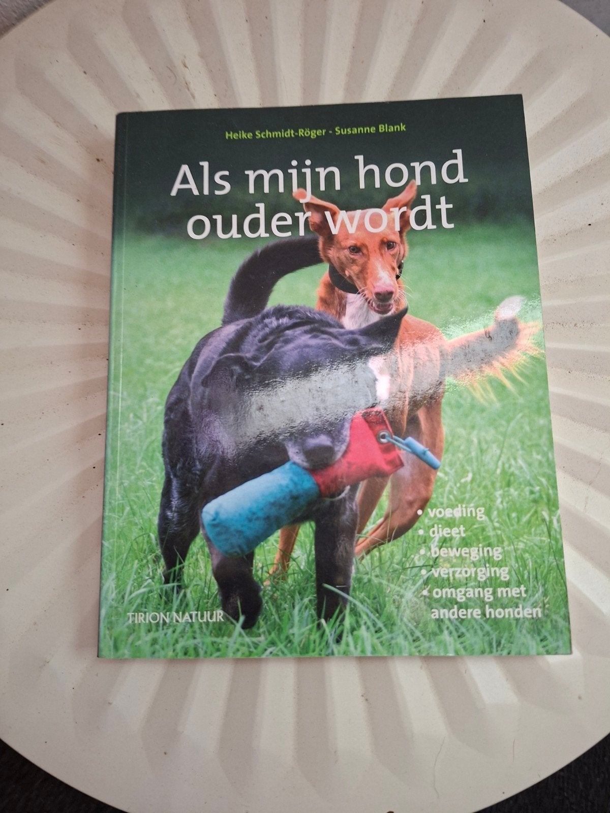 H. Schmidt-Roger - Als mijn hond ouder wordt, Boeken, Dieren en Huisdieren, Honden, Ophalen of Verzenden, Zo goed als nieuw, H. Schmidt-Roger; S. Blank