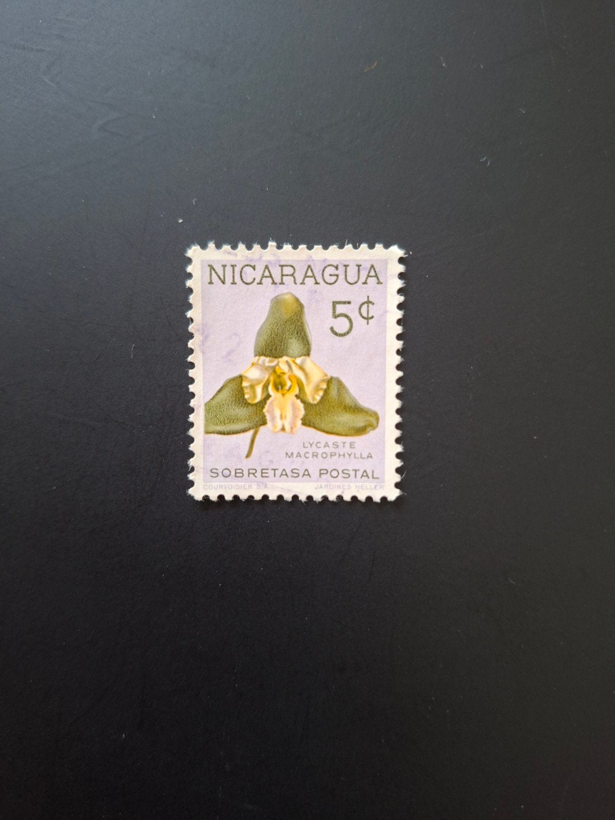 Nicaragua.  Bloemen., Ophalen of Verzenden, Dier of Natuur