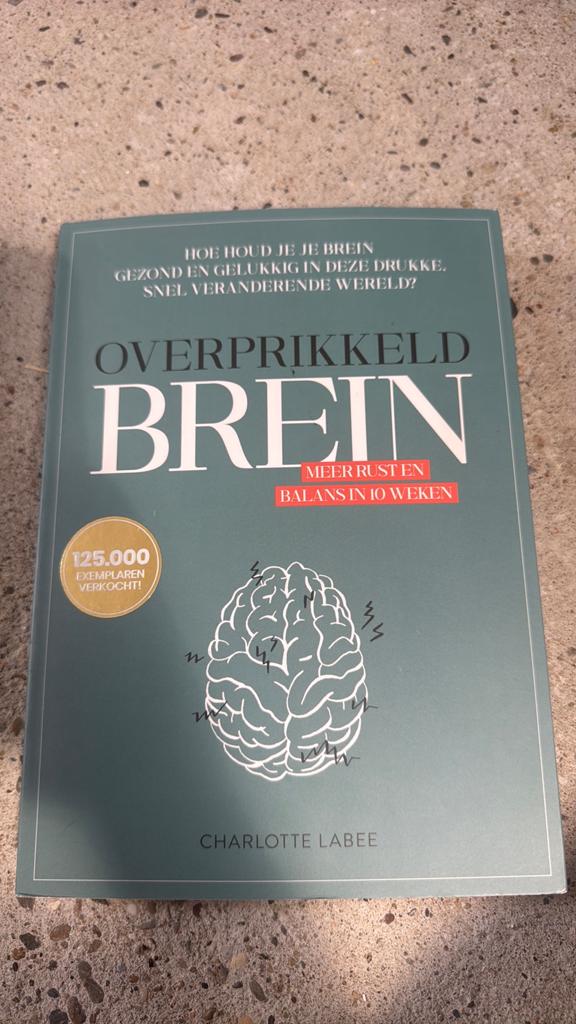 Boek overprikkeld brein, Ophalen of Verzenden, Zo goed als nieuw