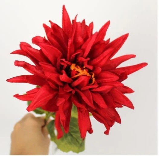 CHRYSANT - ORANJE & ROOD, Ophalen of Verzenden, Nieuw