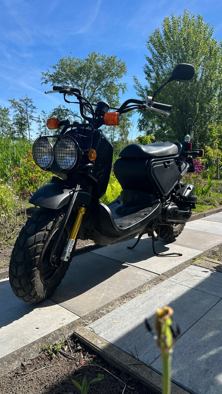 Honda Zoomer, Ophalen, Gebruikt, Maximaal 45 km/u, Overige modellen