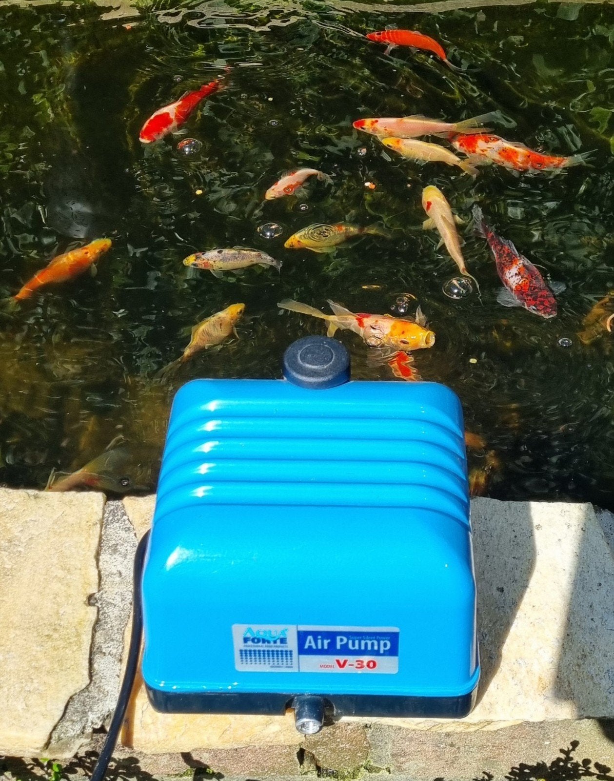 Aqua forte V30 zie ook mijn andere advertenties., Tuin en Terras, Ophalen of Verzenden