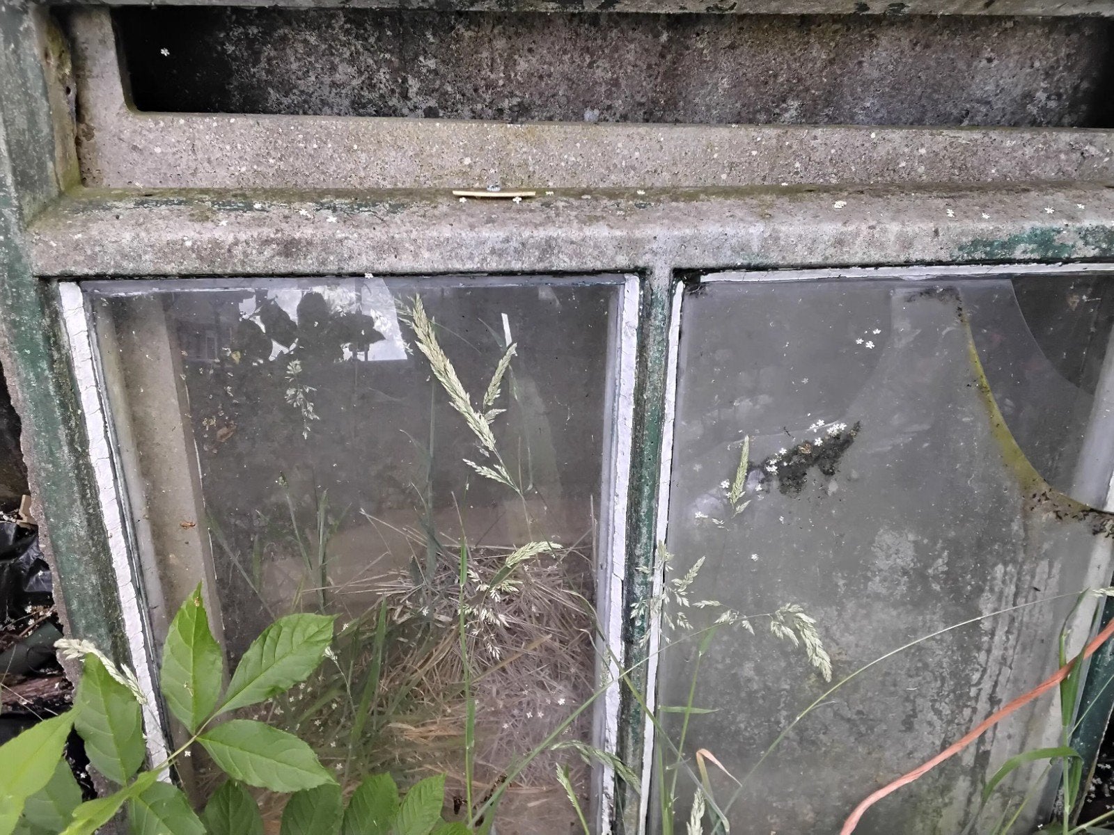 Beton stal ramen, Doe-het-zelf en Verbouw, Glas en Ramen, Ophalen, Minder dan 80 cm, Gevelraam of Ruit, Minder dan 80 cm