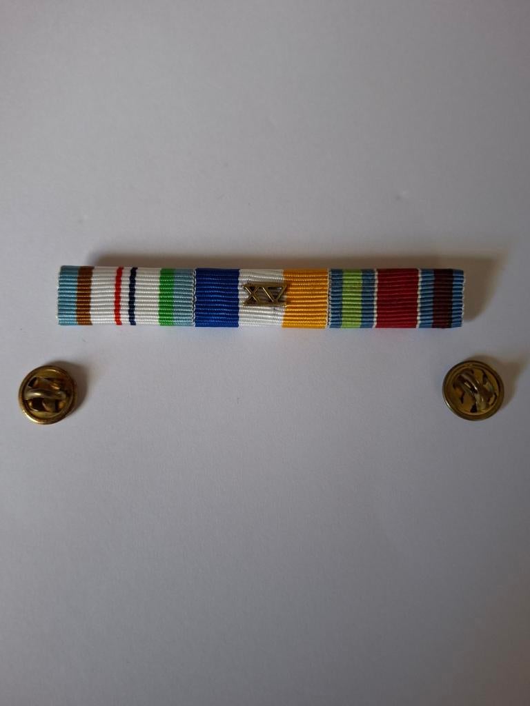 Batonset D, Ophalen of Verzenden, Landmacht, Nederland, Lintje, Medaille of Wings