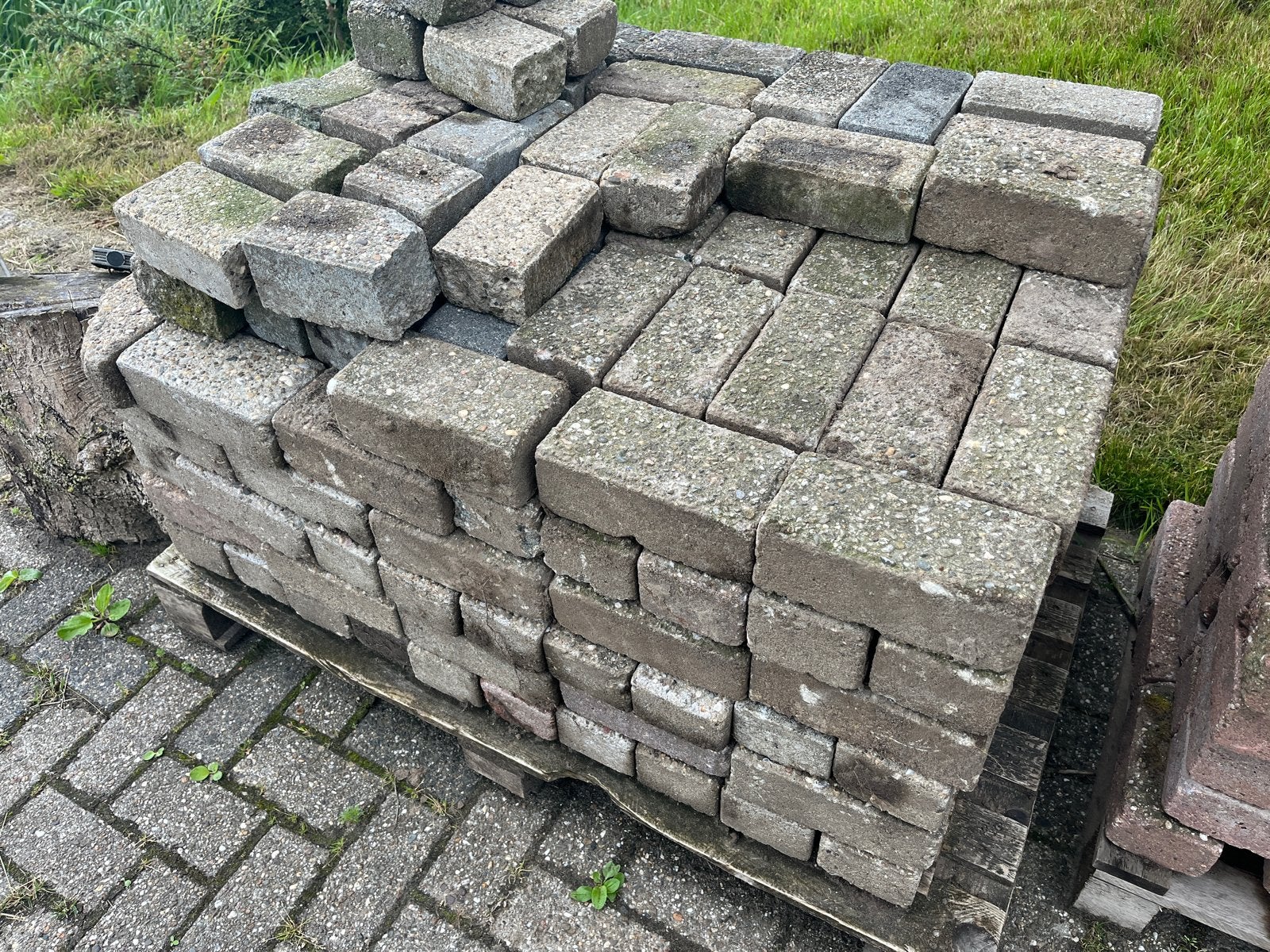 Ongeveer 150 dikke grijze betonklinkers en een paar halve, Ophalen, Gebruikt, Klinkers, 5 tot 10 m²