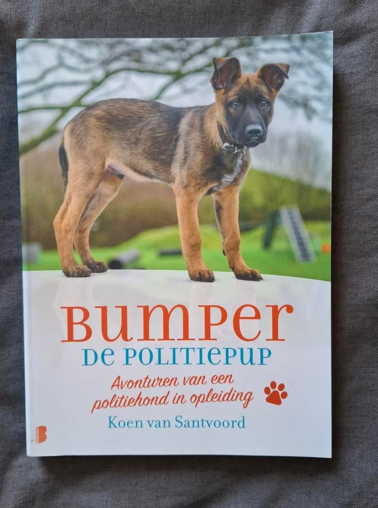 Boek Bumper de politiepup (9789022588918), Boeken, Ophalen of Verzenden, Zo goed als nieuw, Koen van Santvoord