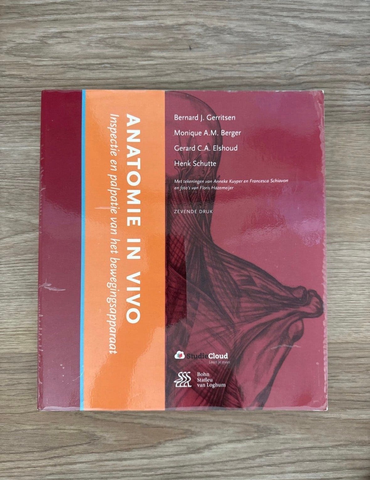 Anatomie in Vivo - Inspectie en Palpatie Bewegingsapparaat, Ophalen of Verzenden, Beta, Nieuw, HBO