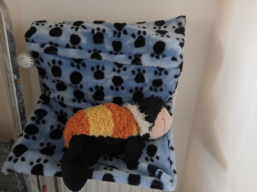 Kattenhangmat ligkussen voor katten, Ophalen of Verzenden
