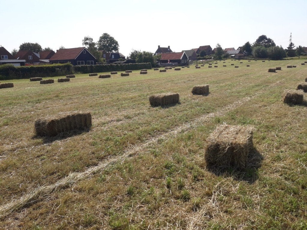 Hooibalen, Dieren en Toebehoren, Dierenvoeding, Ophalen, Vee