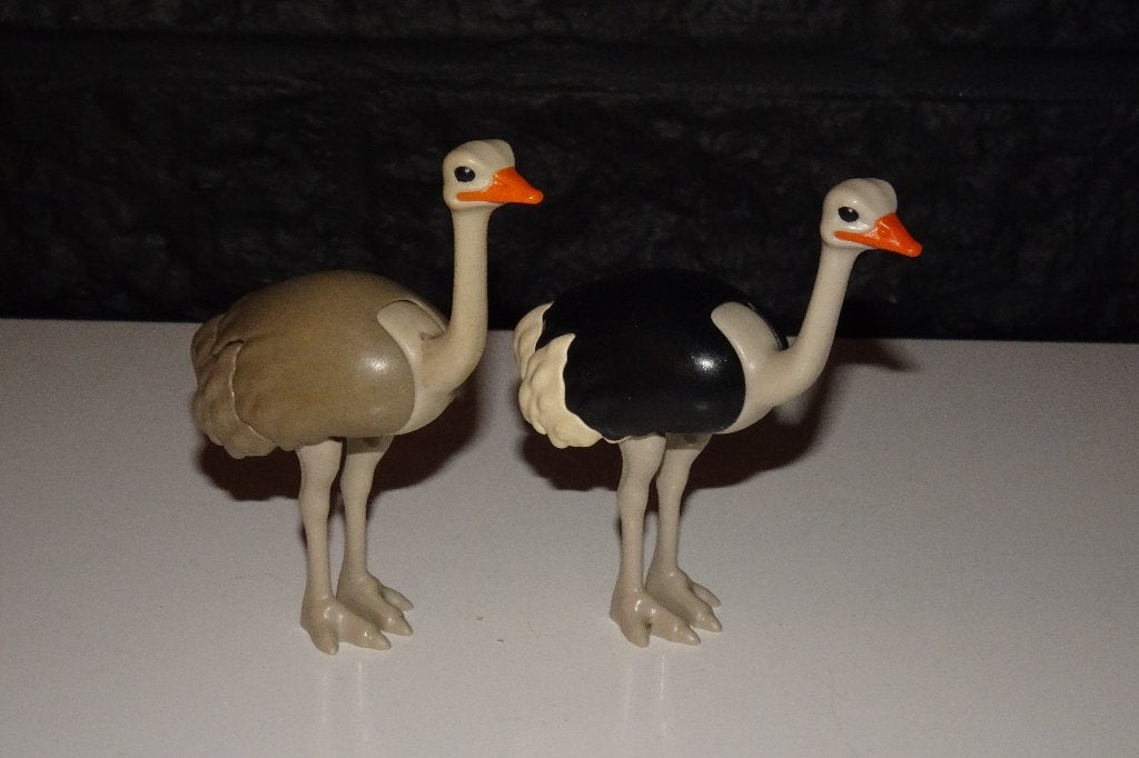 12 - dieren struisvogels 4831, Ophalen of Verzenden