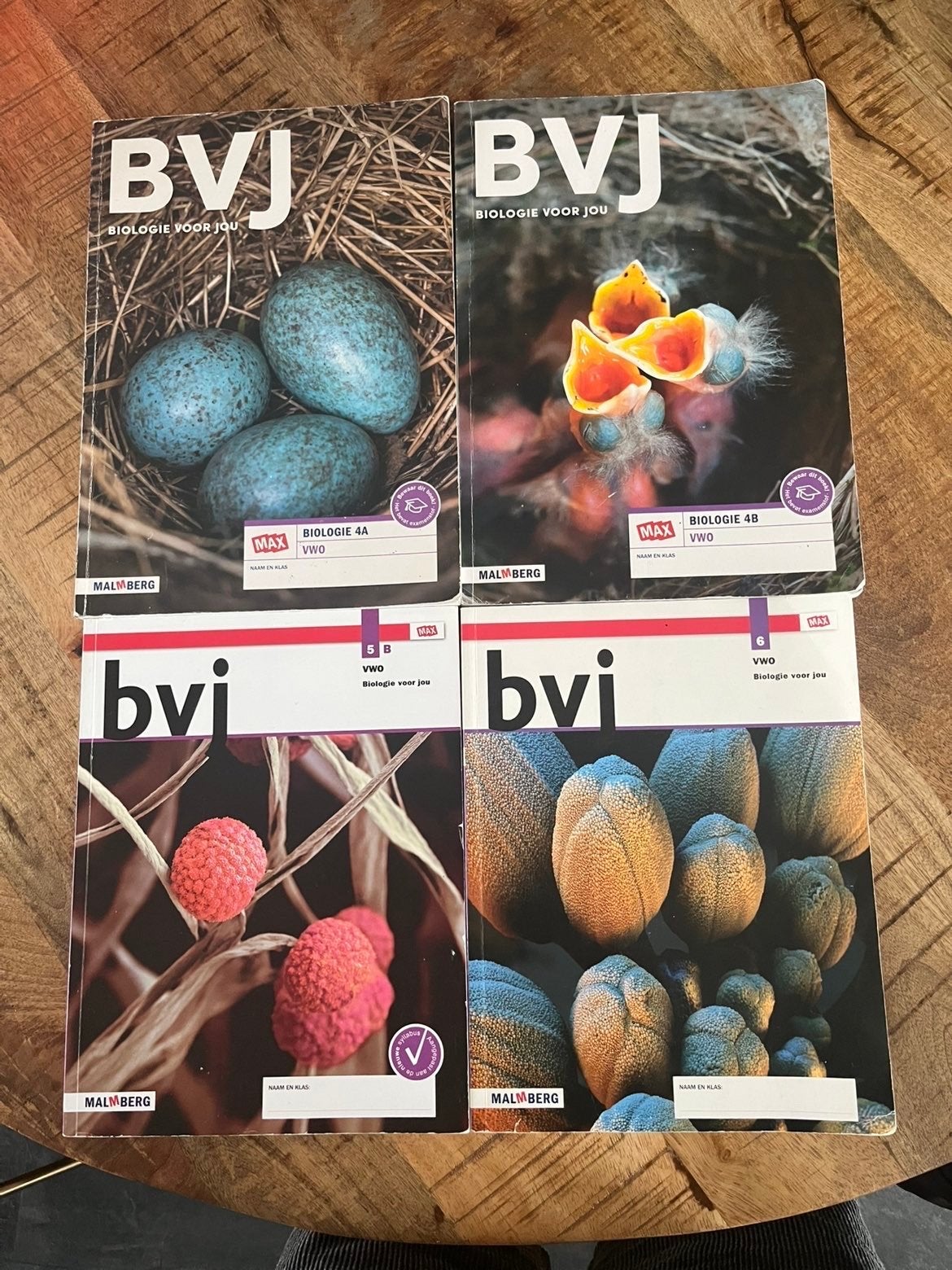 Biologie VWO boeken - Biologie Voor Jou (Malmberg), Verzenden, Gelezen, VWO, Biologie