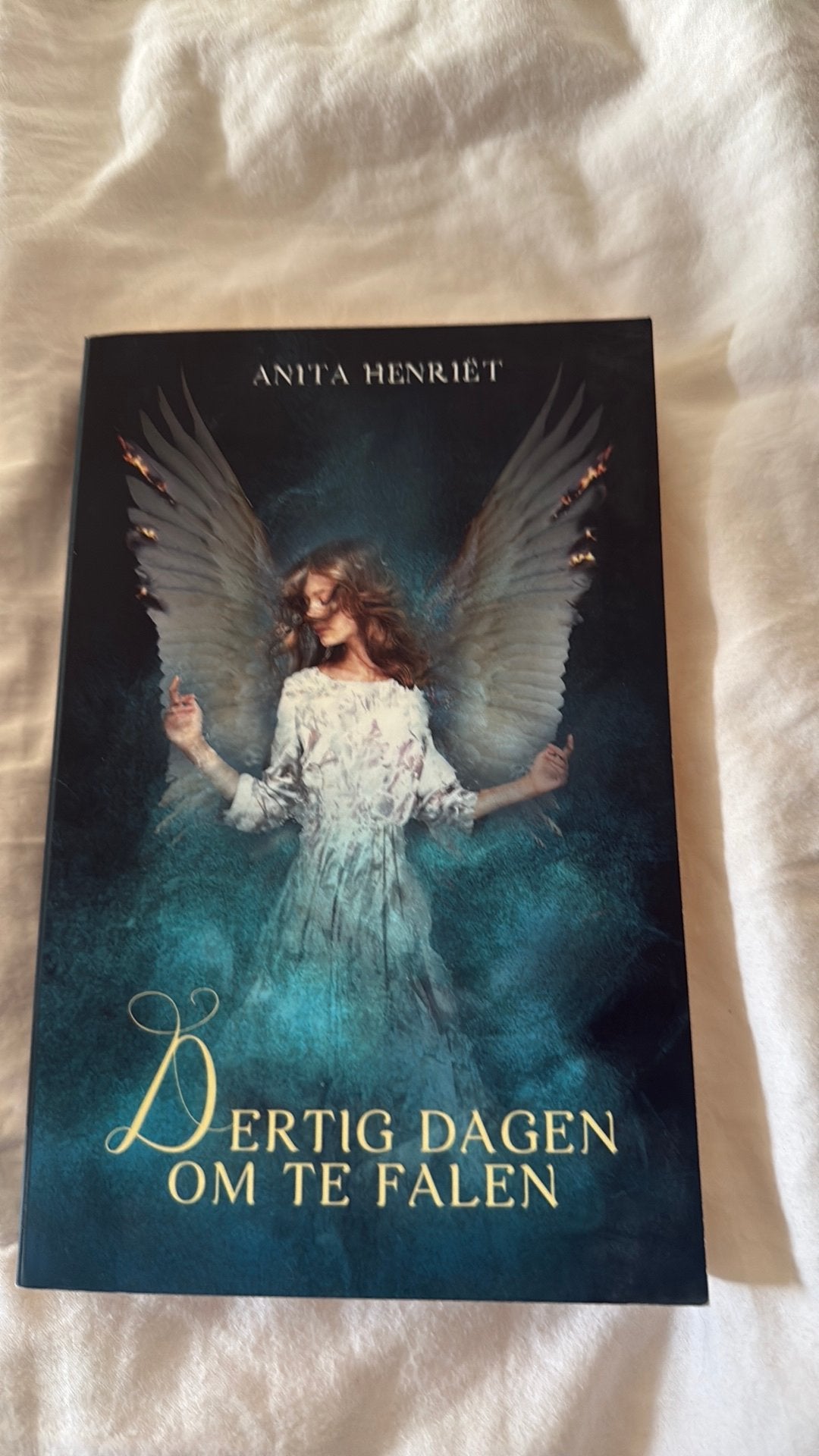 Dertig dagen om te falen Anita Henriet, Ophalen of Verzenden, Zo goed als nieuw