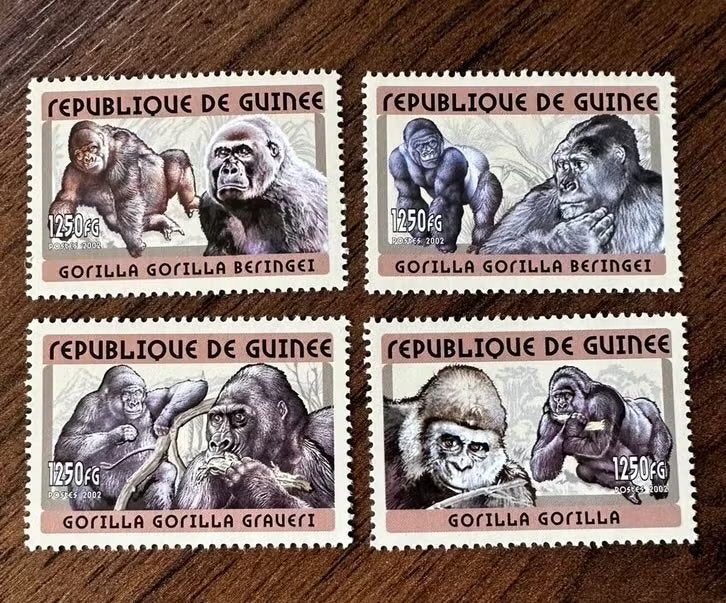 Guinee 2001 Gorilla postfris postzegels dieren, Ophalen of Verzenden, Guinee, Postfris