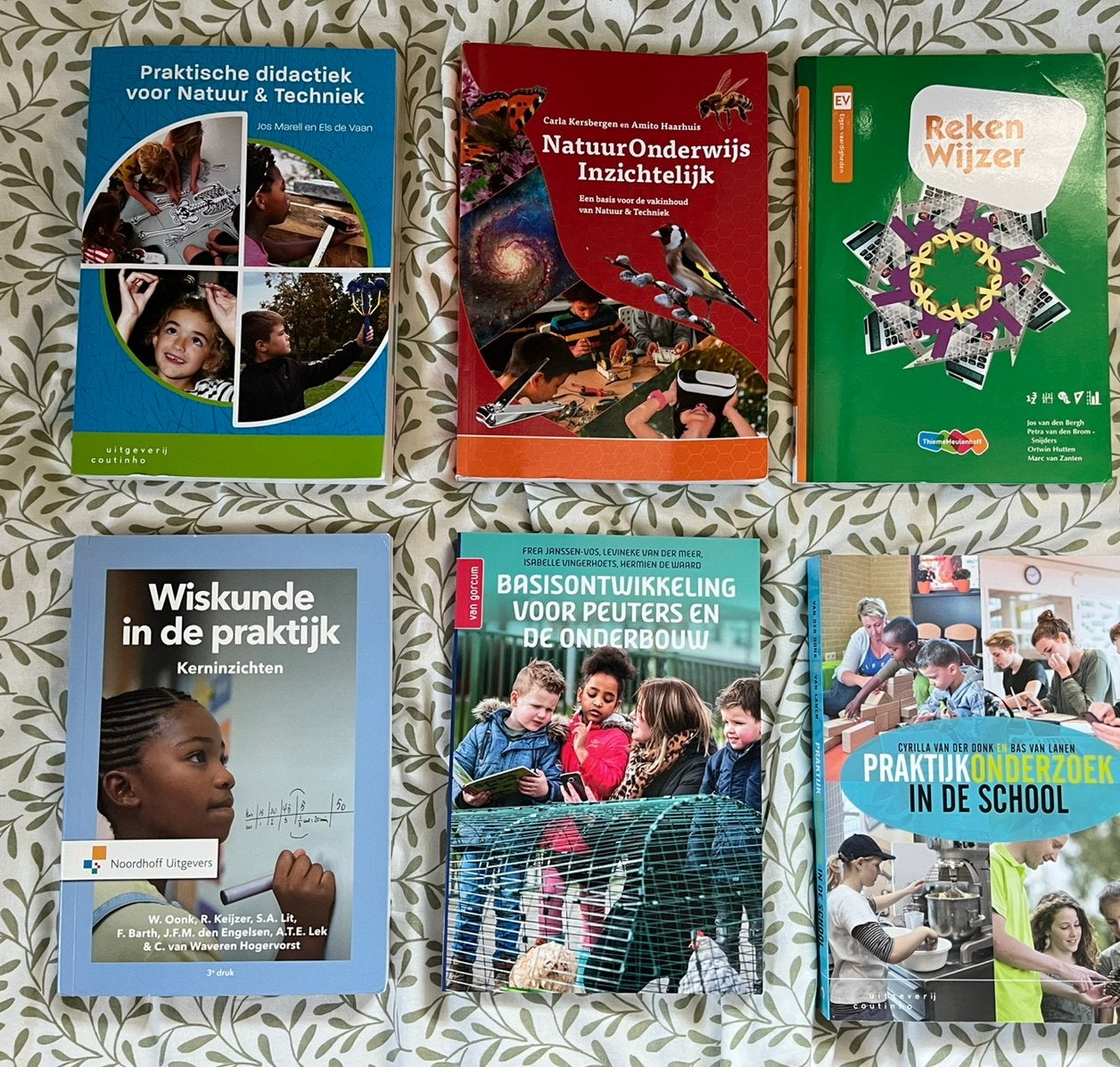 Groot aanbod Pabo studieboeken, Boeken, Ophalen of Verzenden, Alpha, Zo goed als nieuw, HBO