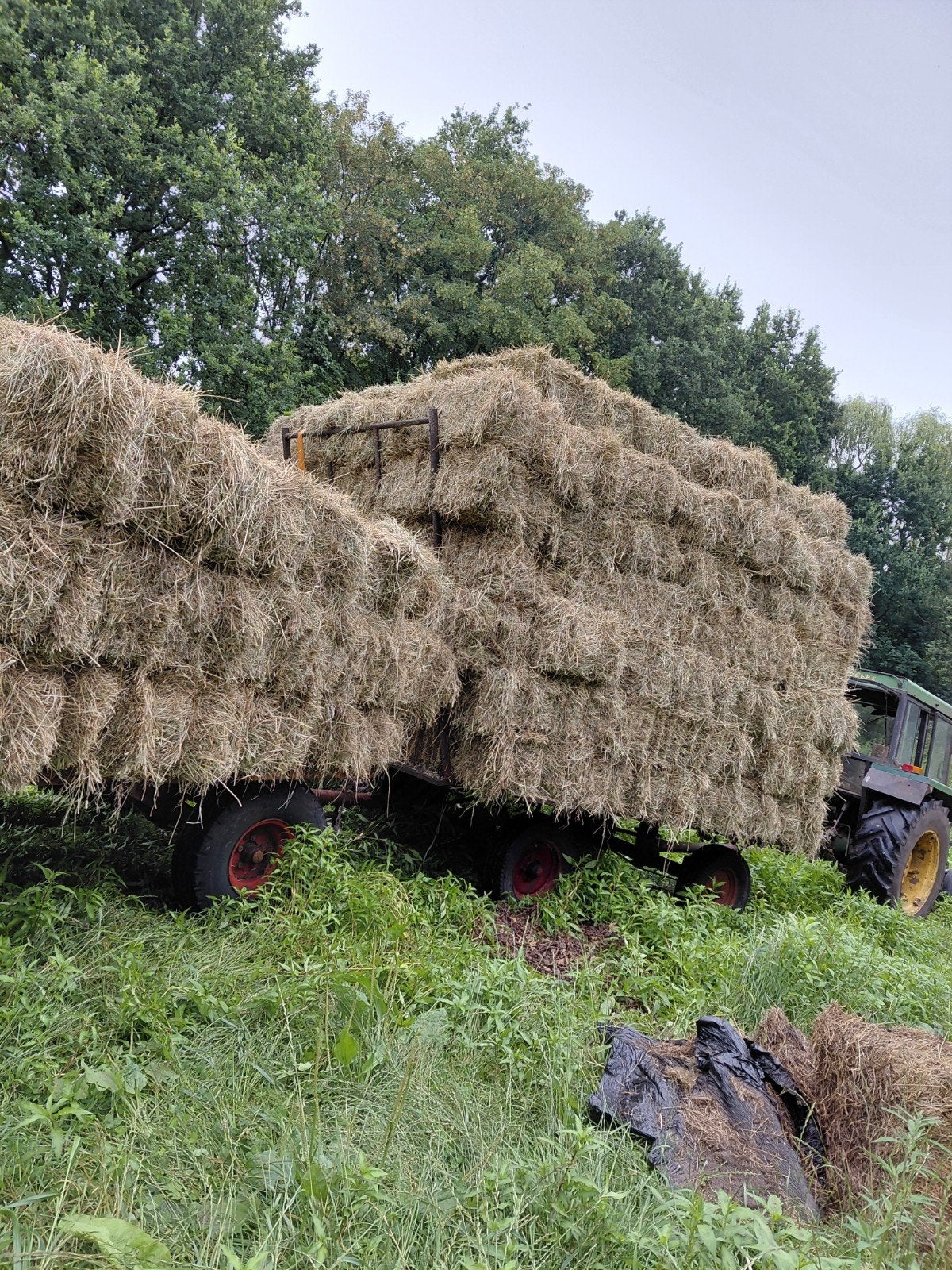 Kleine baaltjes hooi, Ophalen, Vee