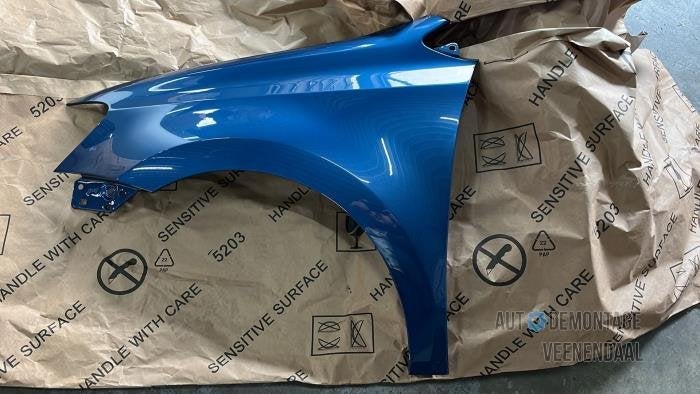 Scherm links-voor van een Volkswagen Polo (LD5L), -, Volkswagen, -, Nieuw