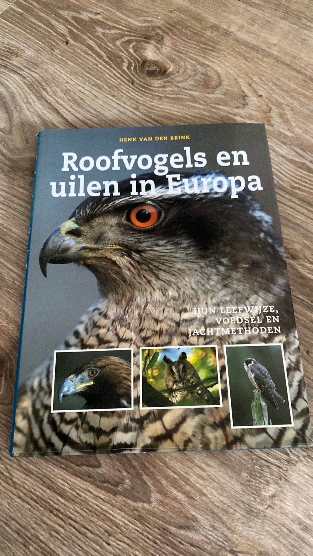 Hedwig van den Brink - Roofvogels en uilen in Europa, Boeken, Ophalen of Verzenden, Zo goed als nieuw, Hedwig van den Brink