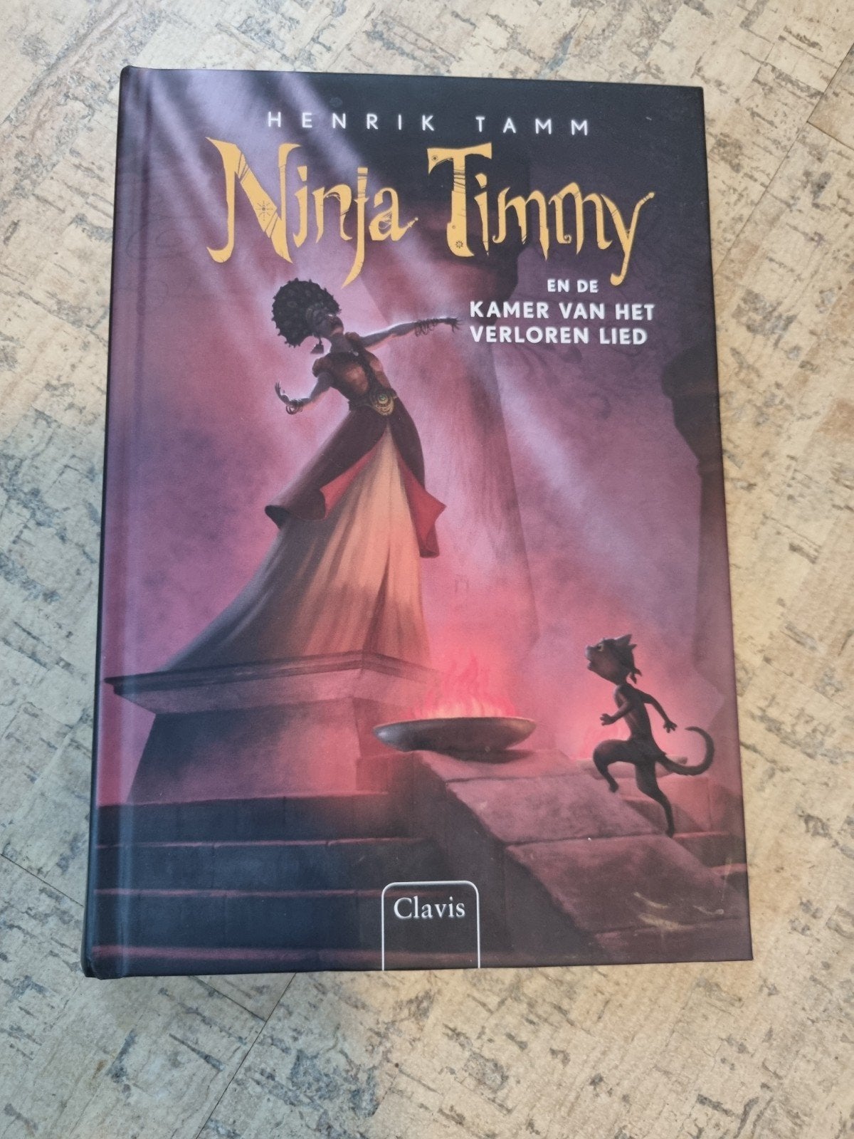 Ninja Timmy en de kamer van het verloren lied, Ophalen, Nieuw, Henrik Tamm, Fictie