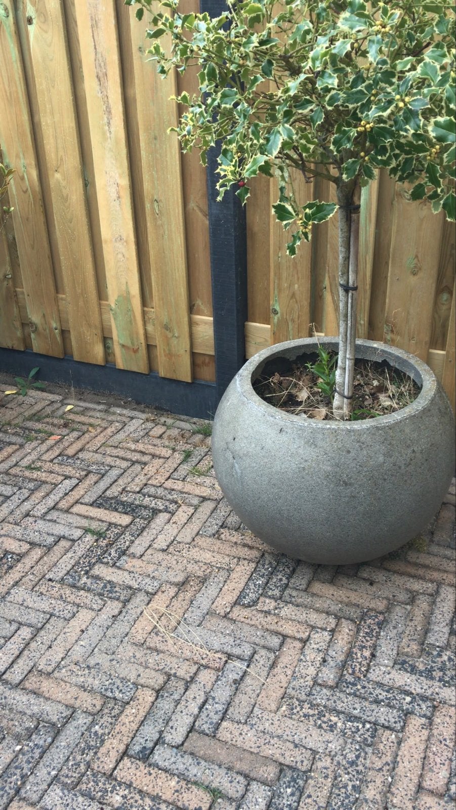 Grote ronde plantenbak, Ophalen, Gebruikt, Balkon, Rond