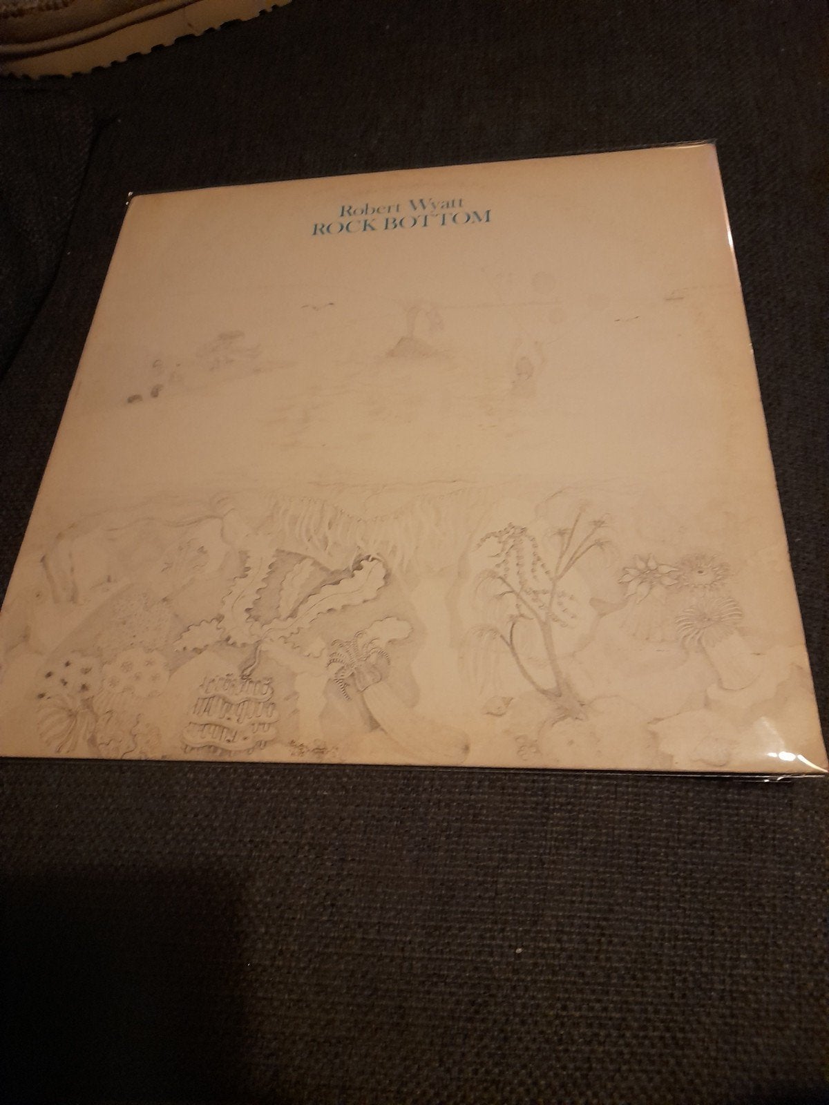 Robert wyatt rock bottom, Verzenden, Zo goed als nieuw, 12 inch