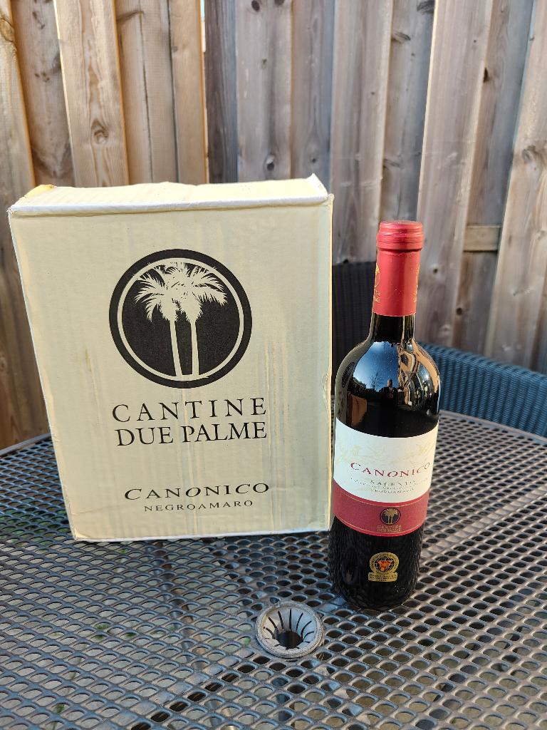Canonico Salento Negroamaro 2013, Nieuw, Rode wijn, Vol, Italië