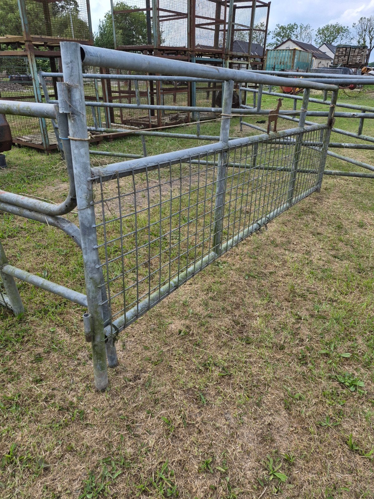 Hekken /  poorten., Weidegang
