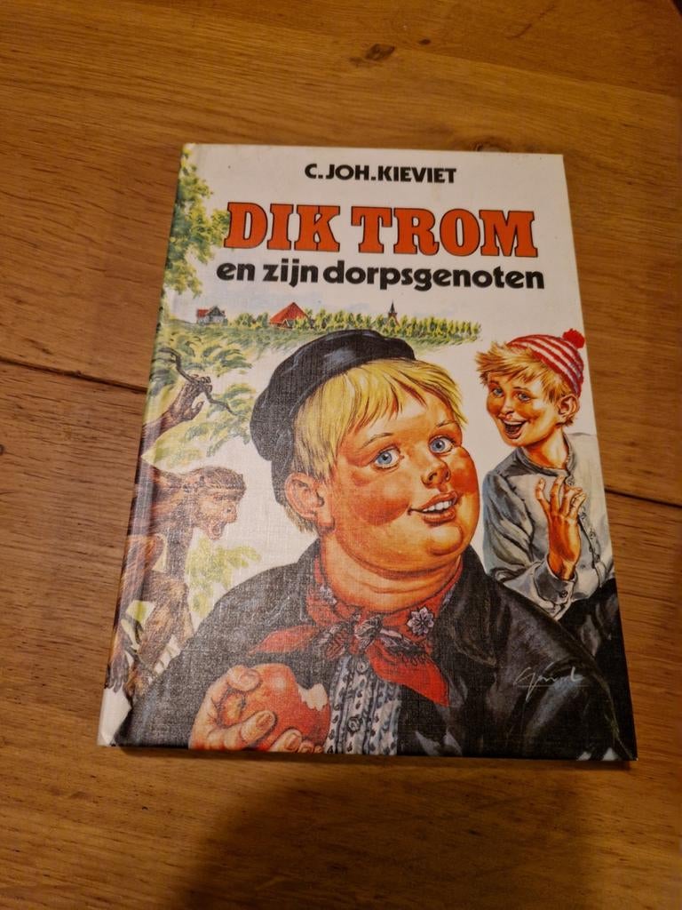 DIK TROM, Ophalen of Verzenden, Zo goed als nieuw
